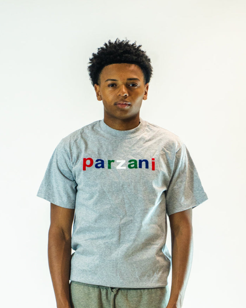 COLOR GRAY T-SHIRT