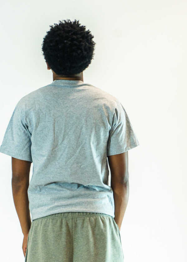 COLOR GRAY T-SHIRT